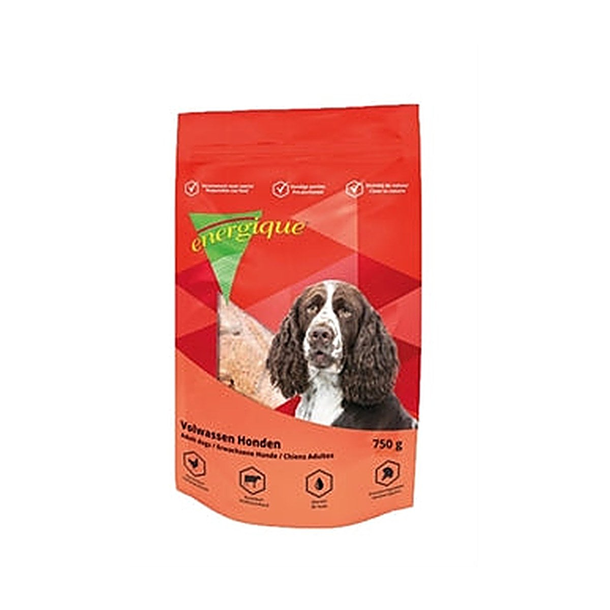 Energique NR1 Volw Hond 750 gram