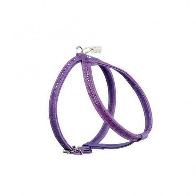 Karlie Buffalo Strass Harnas - Paars - 20-27 cm