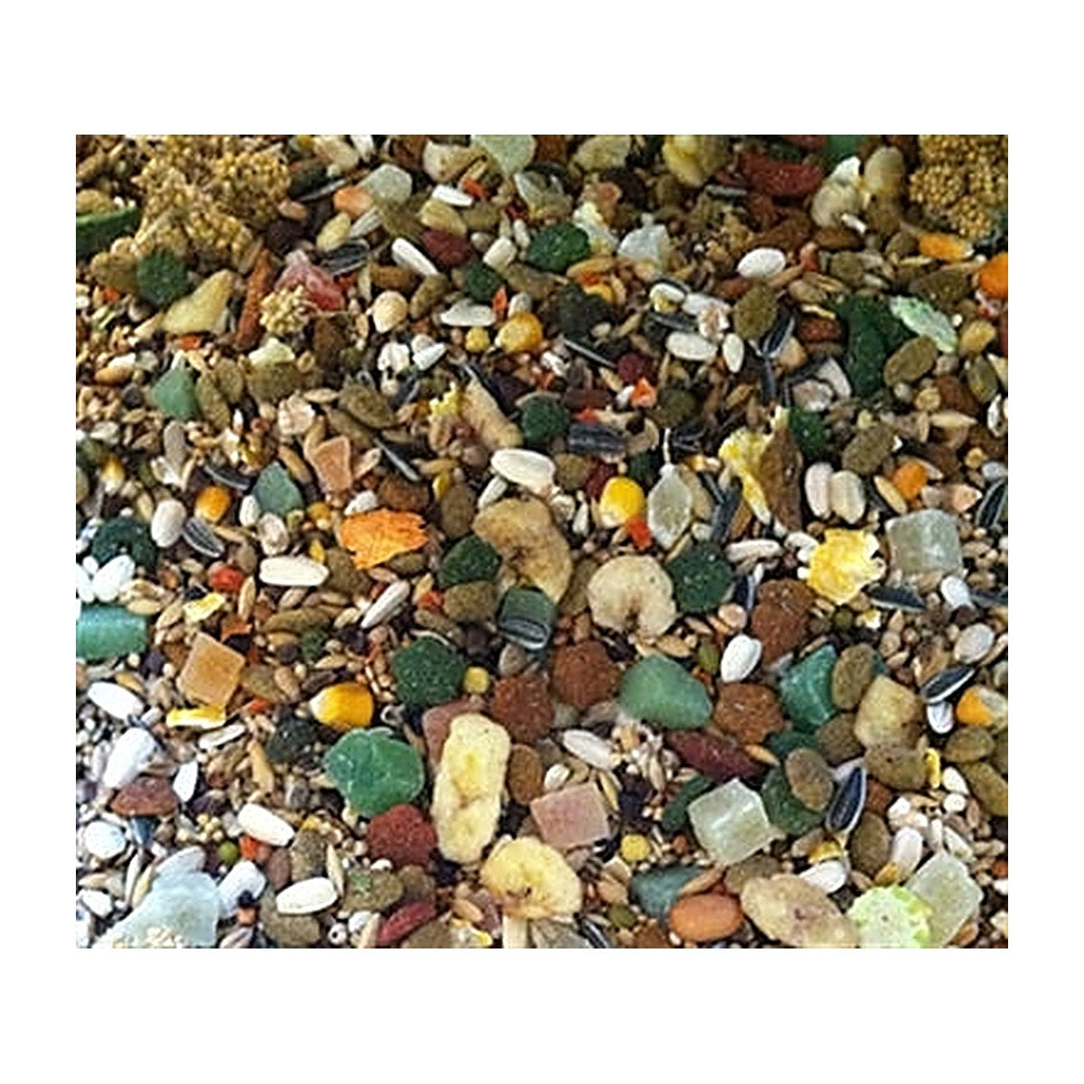 Hareco Papegaai Select Zonder Pellets 1 kg
