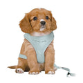Trixie Junior Tuig+riem Groen 36-50CMX2M