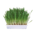 Trixie Knaagdiergras 100 gram