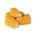 Trixie Maiskolfstukken 6x300 gram