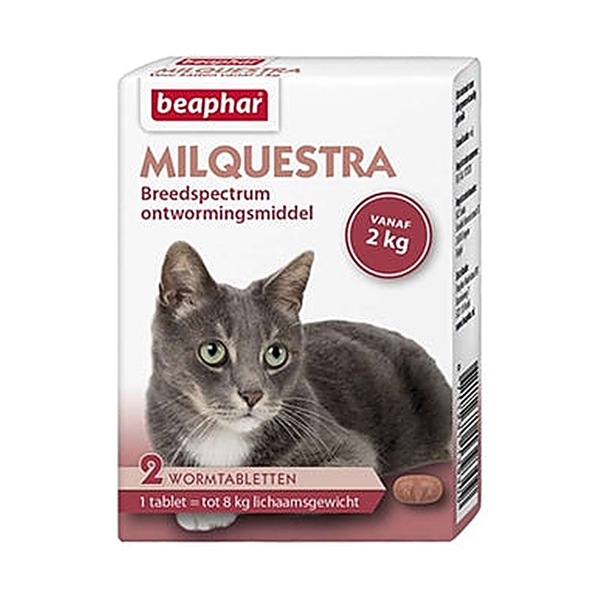 Beaphar - Milquestra Kat 2 tabletten