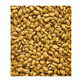 Nutribird P15 Original 1 kg