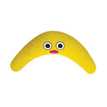Petstages Boomerang Buddy