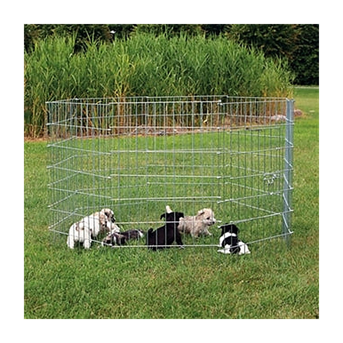 Trixie Puppyren 8 Panelen 61x91 cm