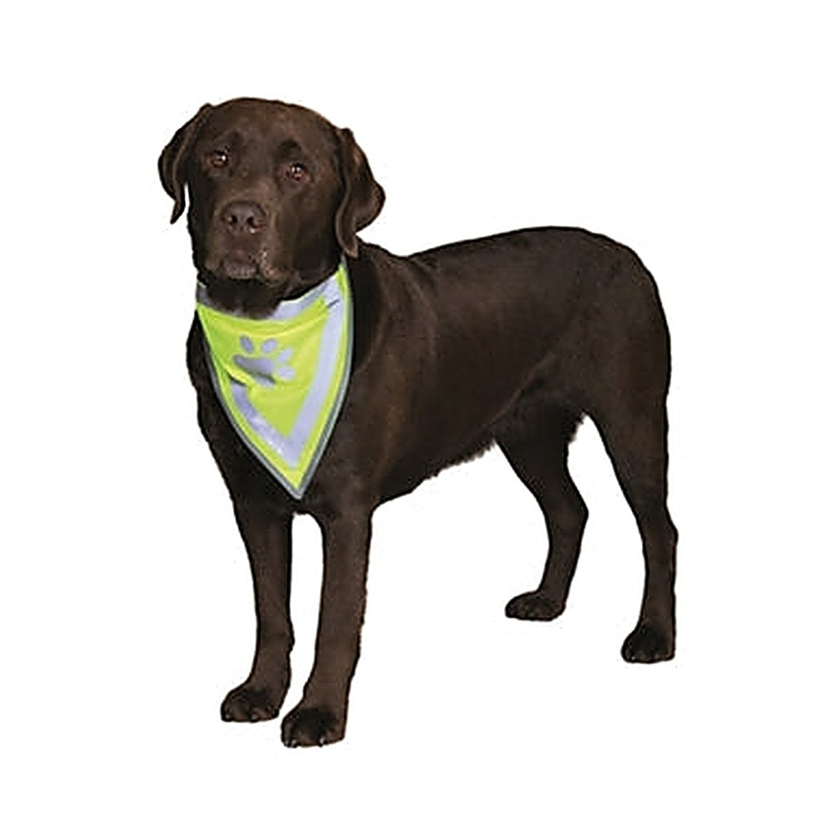 Trixie Reflecterende Bandana L-XL - 2 stuks