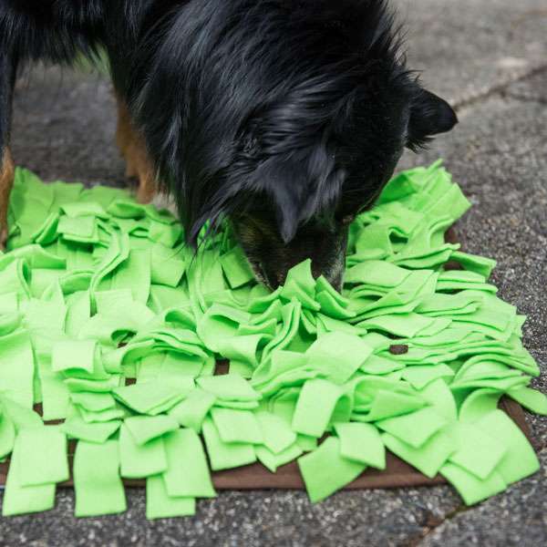 PROCYON Snuffelmat - Groen
