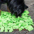 PROCYON Snuffelmat - Groen