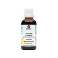 Solidago Complex Hond/kat 50 ml