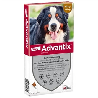 - Advantix Spot on 40-60KG 4PIP