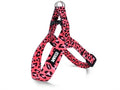 Morso # Tuig Mini Bubble Leo 29-38X2,5CM