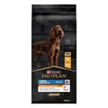 Pro Plan Dog Ad L/b Athletic 14KG