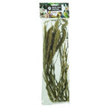 Back Zoo Nature Millet Setaria 30GR