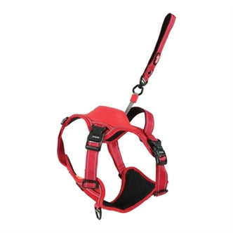 Zolux # Easyride Tuig Rood Xl 73-94CM