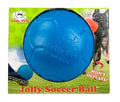 Jolly Soccer Ball Blauw 20CM