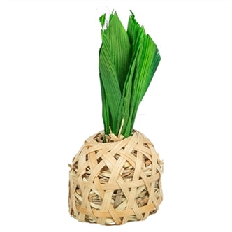 Trixie Ananas Bamboe 6,5X6,5X14CM – Speelgoed