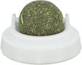 Trixie Catnip Bal+houder Zelfklevend 5CM