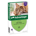 - Advantage Kat 80 >4KG 4PIP