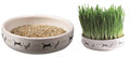 Trixie Trixie Kattengraszaad In Keramiek 15x4 Cm
