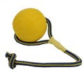 Swing 'N Fling Durafoam Bal+koord l