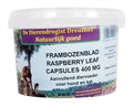 Frambozenblad Capsules 400MG 100ST