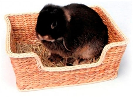Chill 'N' Snooze Bed 33X26CM