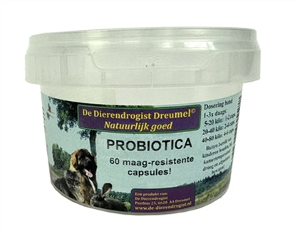 Probiotica Caps 60ST