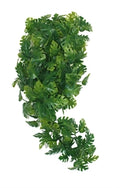 Komodo Plant Split Philodendron 30 cm – Decoratie