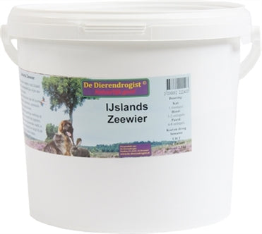 Ijslands Zeewier 500GR