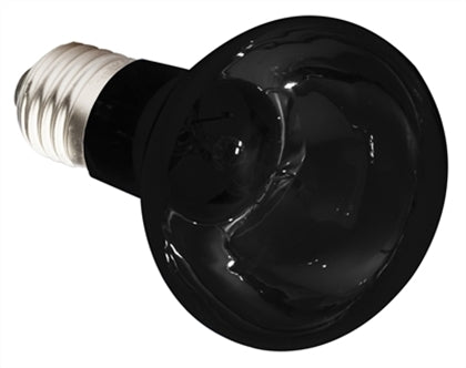 Komodo Nachtgloed Lamp Es 50W – Verlichting/Nachtverlichting
