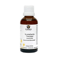 Scutellaria Tinctuur Hond/kat 50ML