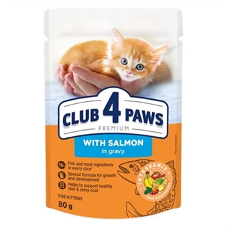 CLUB4 Kitten Zalm in Saus 24X80GR