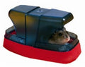 Savic ! Hamstertoilet