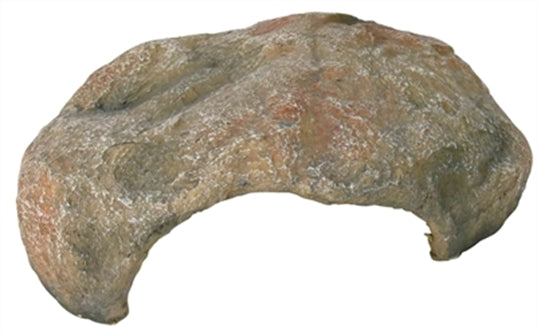 Trixie Reptielen Schuilplaats 30X25X10CM – Decoratie