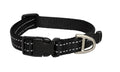 Snake Hb Zwart