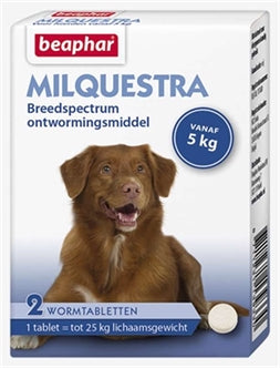 Beaphar - Milquestra Hond 2TBL