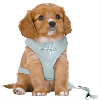 Trixie Junior Tuig+riem GRN 36-50CMX2M
