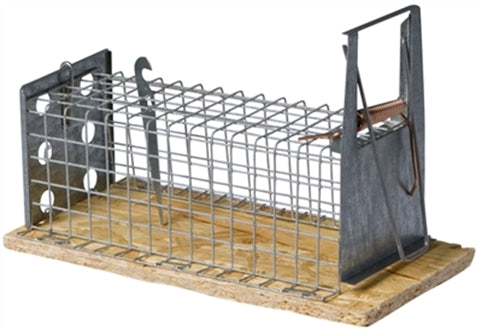 Hout Muizenv Recht 1KLEP 16CM