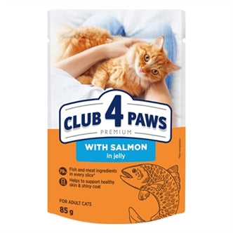 CLUB4 Ad Zalm in Gelei 24X85GR