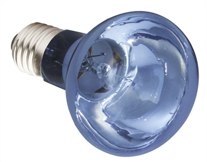 Komodo Neodymium Dagl Lamp Es 75W – Verlichting Overig