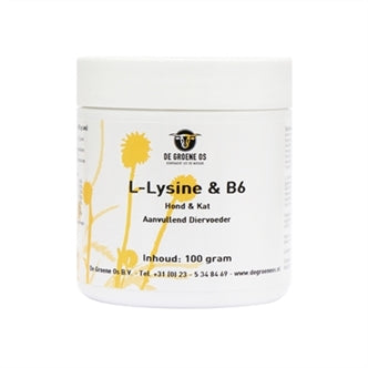 L-LYSINEB6 Hond/kat 100GR
