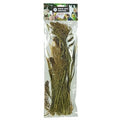Back Zoo Nature Panicum 40GR