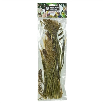 Back Zoo Nature Panicum 40GR
