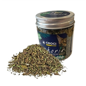 Euphoria Catnip Pot 25GR