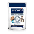 Advance Vet Dog/cat Recov 11X100GR