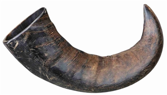 Trixie Natuur-kauwhoorn Buffel L 6ST
