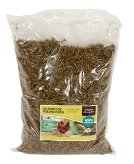 Utopia Meelwormen 1 kg – Droogvoer/Zaden