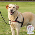 Trixie Tuig Lead'n'walk ZW 65-105X2,5CM