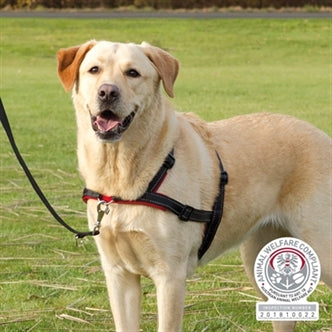 Trixie Tuig Lead'n'walk ZW 65-105X2,5CM